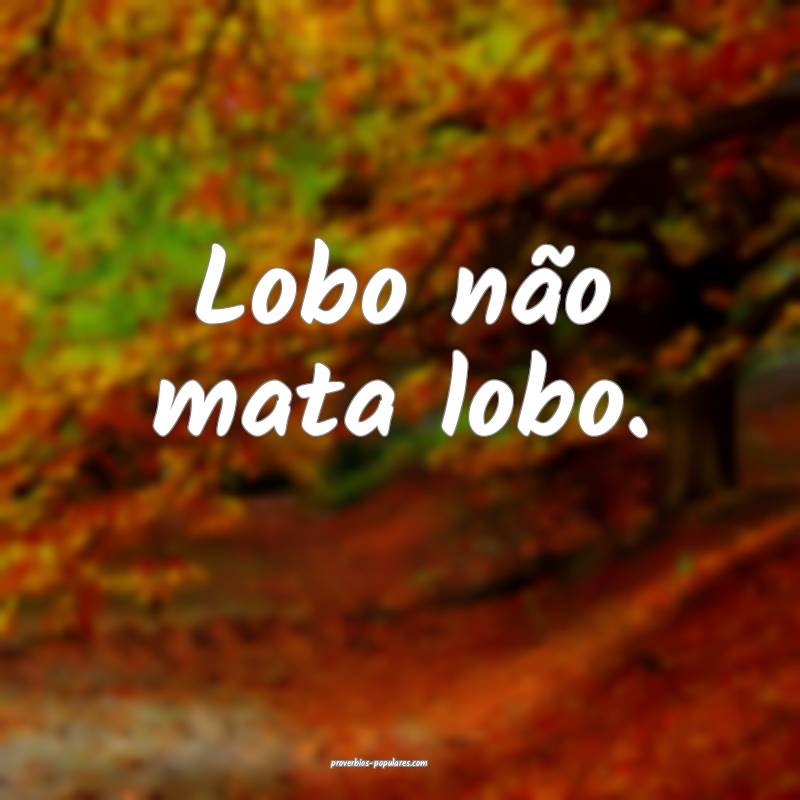 Lobo não mata lobo.
...