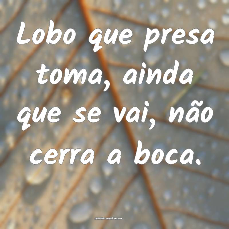 Lobo que presa toma, ainda que se vai, não cerra  ...