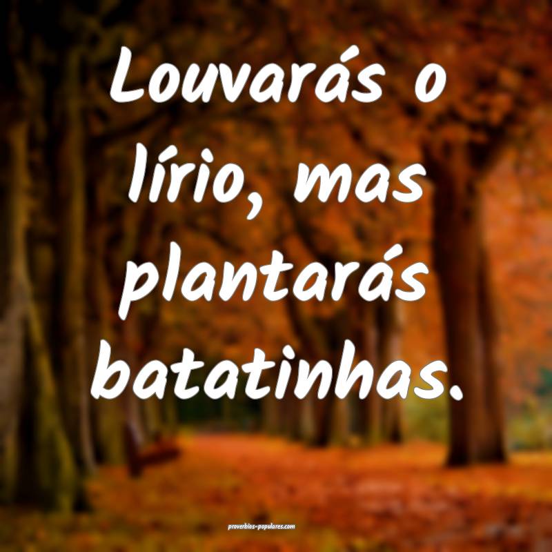 Louvarás o lírio, mas plantarás batatinhas.
 ...