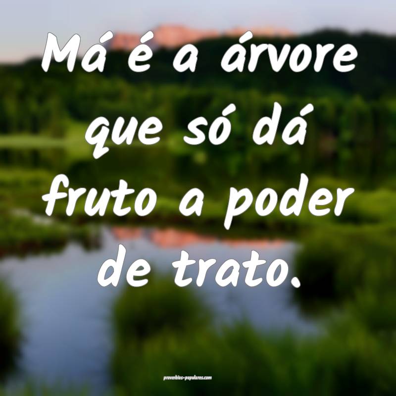 Má é a árvore que só dá fruto a poder de trato.
...