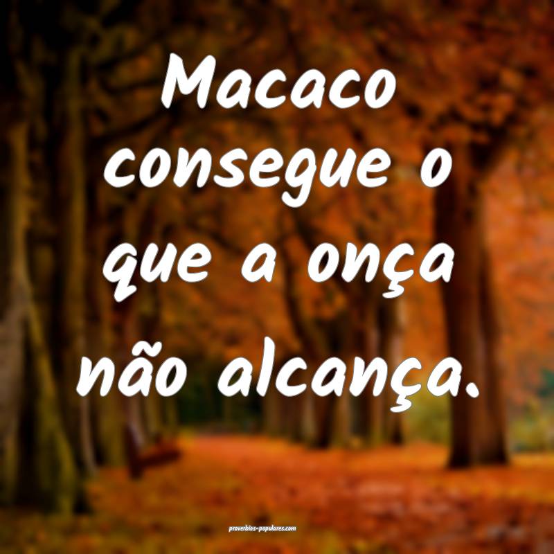 Macaco consegue o que a onça não alcança.
...