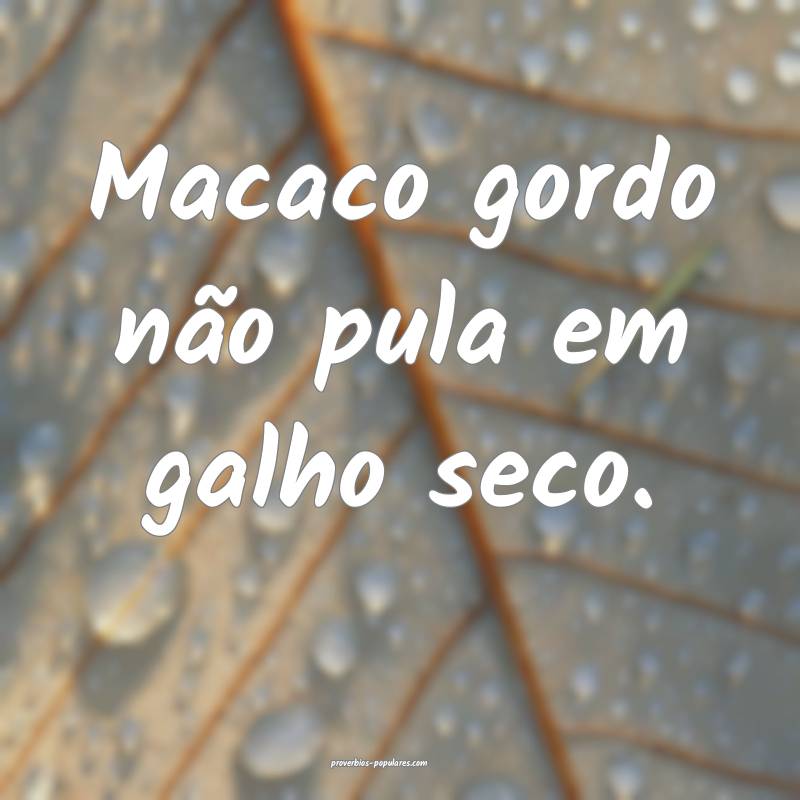 Macaco gordo não pula em galho seco.
...