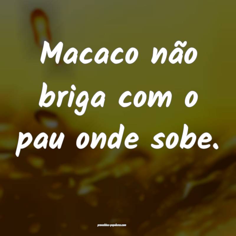 Macaco não briga com o pau onde sobe.
...