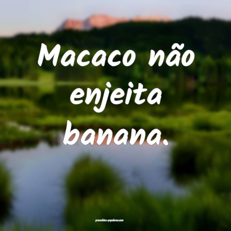 Macaco não enjeita banana.
...