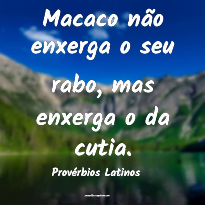 Macaco não enxerga o seu rabo, mas enxerga o da cutia.
...