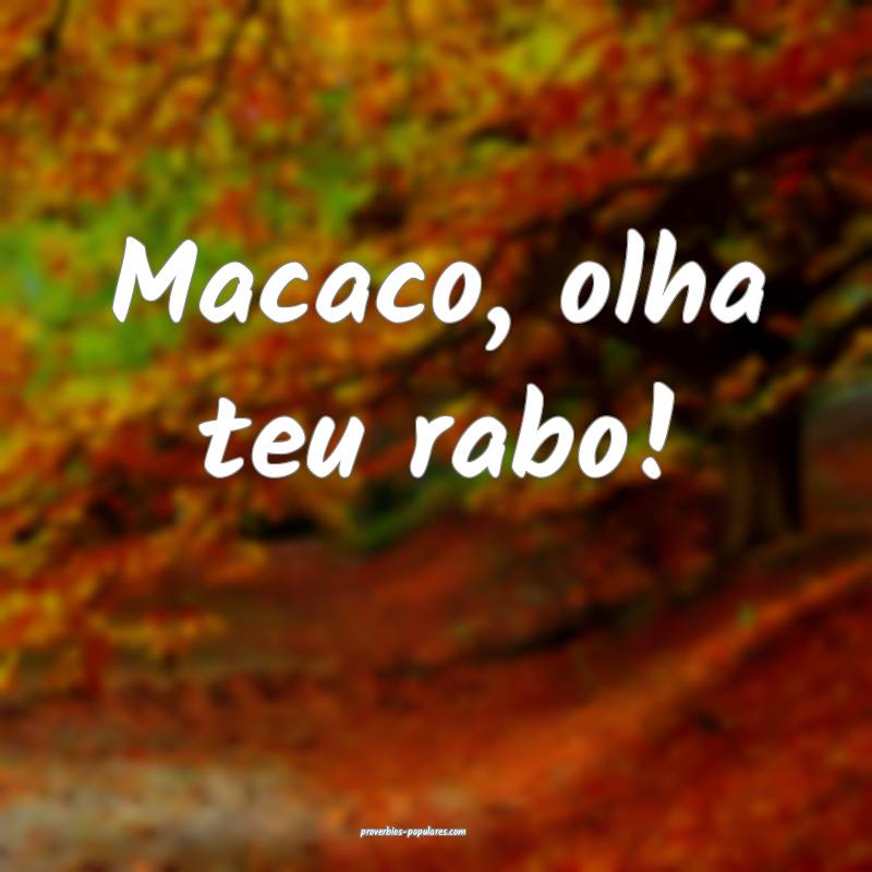 Macaco, olha teu rabo!
...