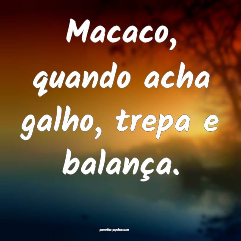 Macaco, quando acha galho, trepa e balança.
...