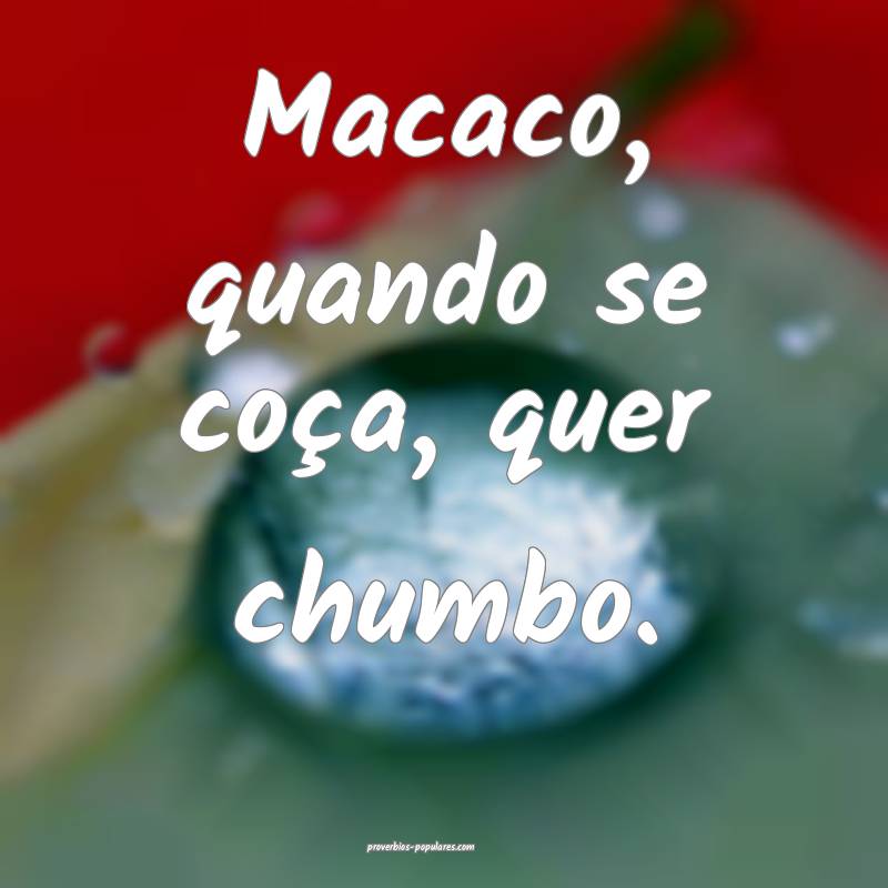 Macaco, quando se coça, quer chumbo.
...