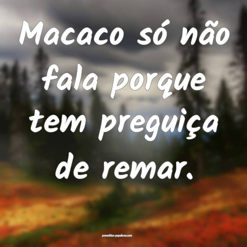 Macaco só não fala porque tem preguiça de remar.
...