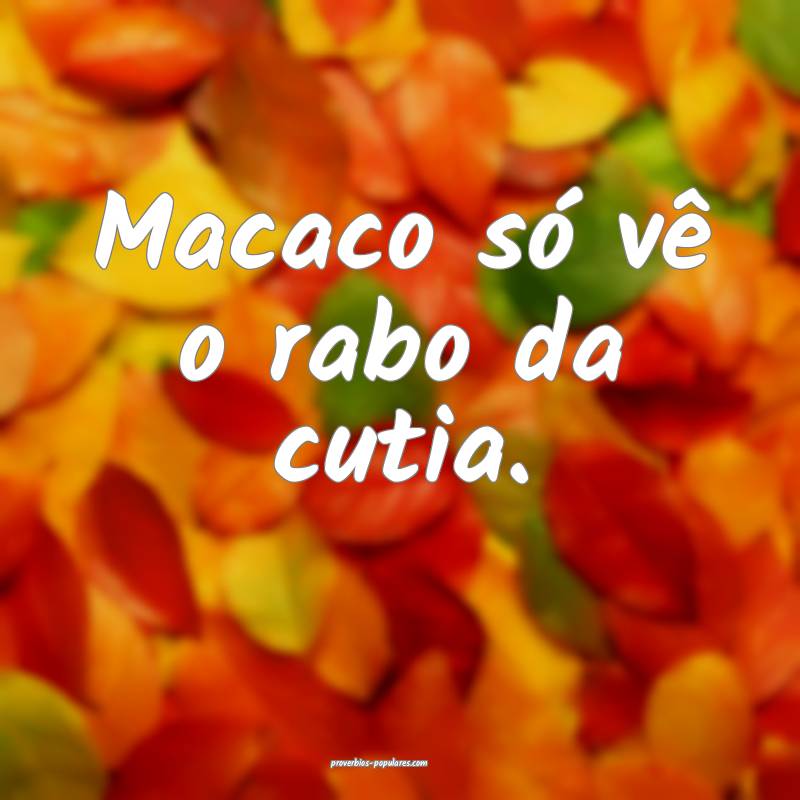 Macaco só vê o rabo da cutia.
 ...