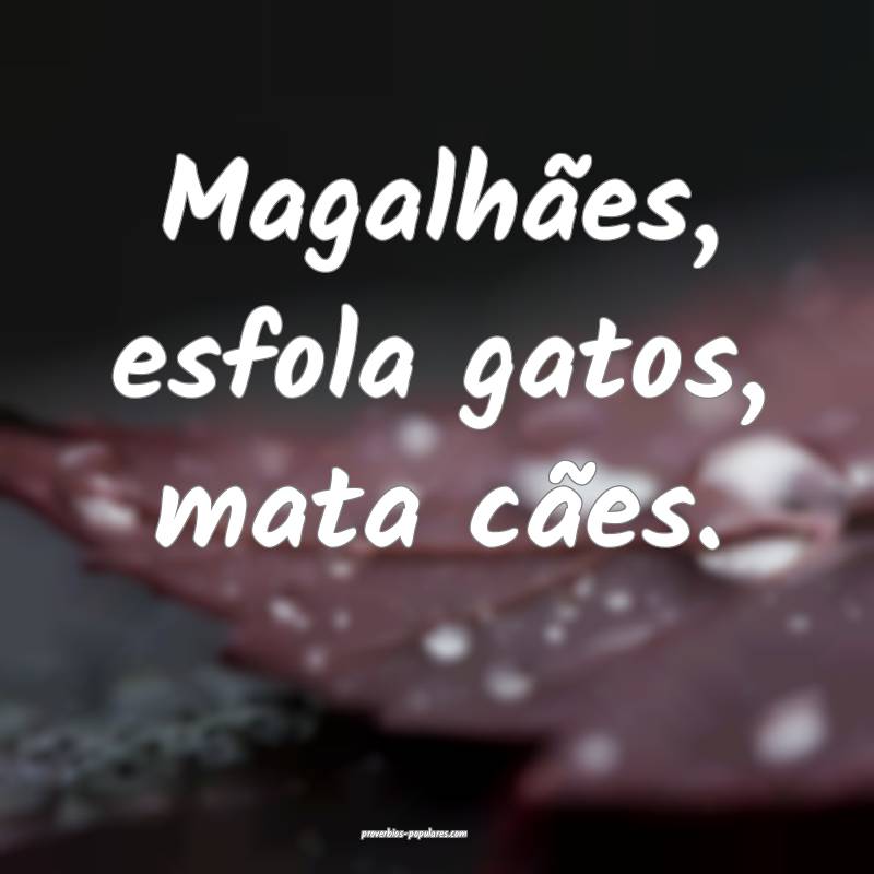 Magalhães, esfola gatos, mata cães.
...