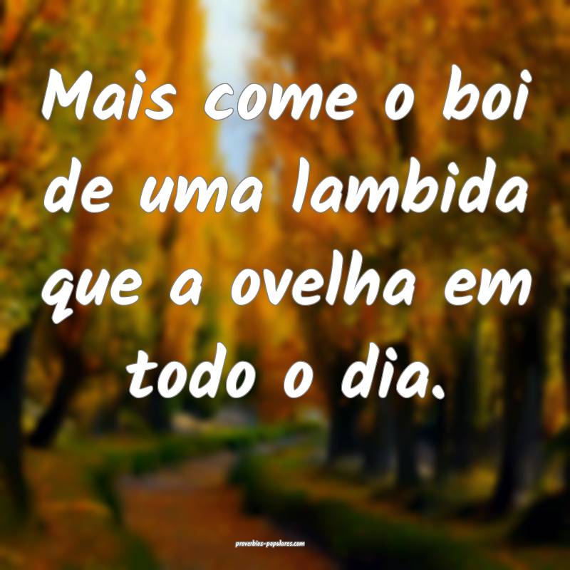 Mais come o boi de uma lambida que a ovelha em todo o dia.
...