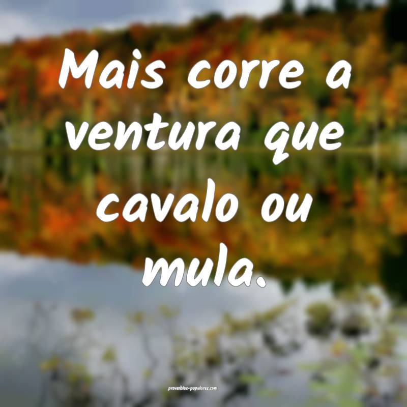 Mais corre a ventura que cavalo ou mula.
 ...