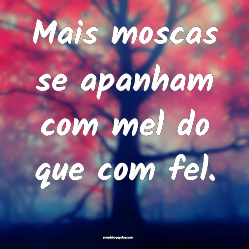 Mais moscas se apanham com mel do que com fel.
 ...