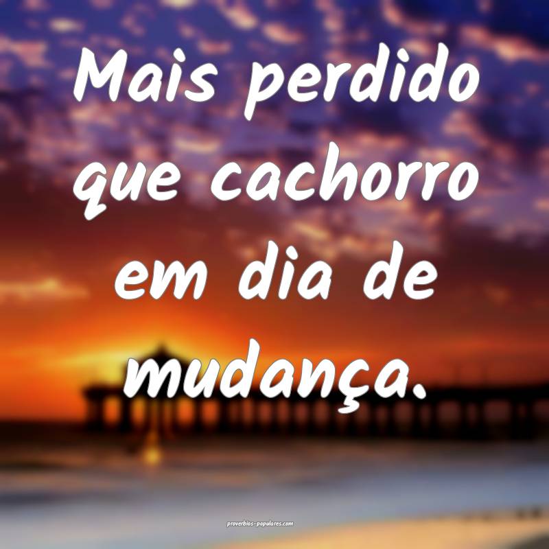 Mais perdido que cachorro em dia de mudança.
...