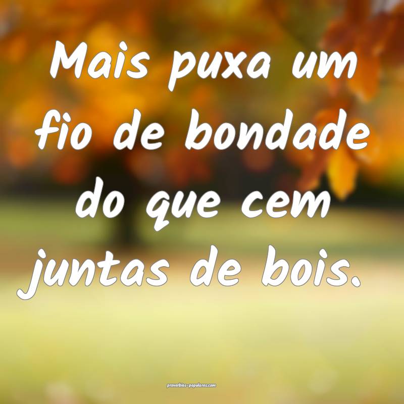 Mais puxa um fio de bondade do que cem juntas de bois.
...