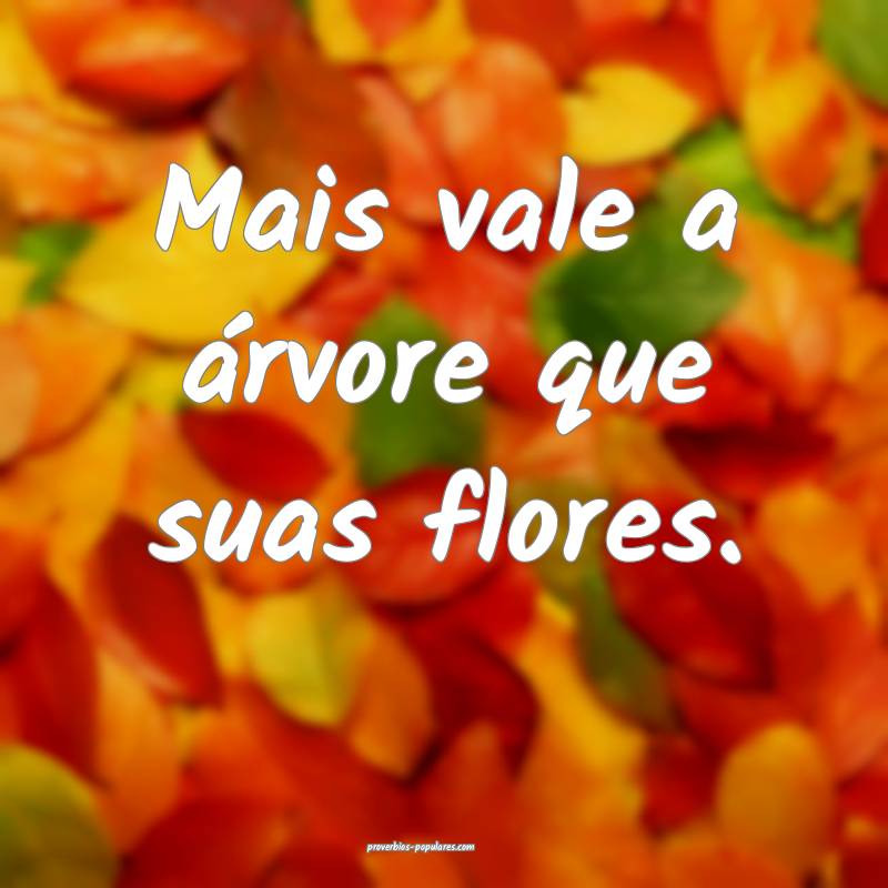 Mais vale a árvore que suas flores.
 ...