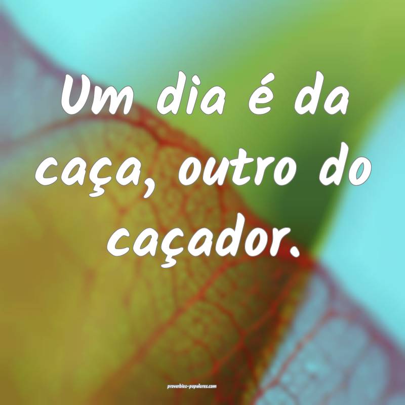 Um dia é da caça, outro do caçador. 
...