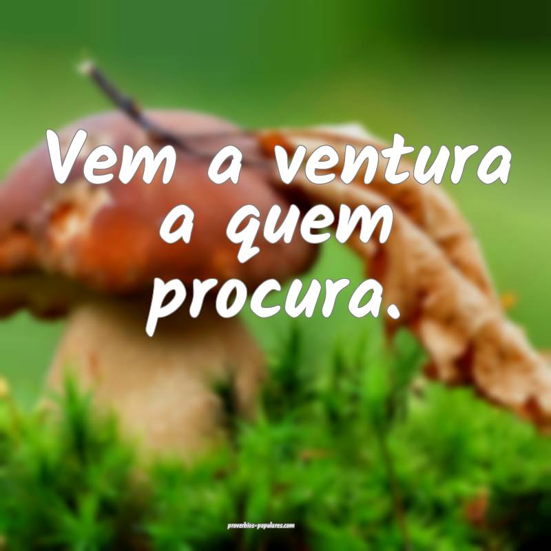 Vem a ventura a quem procura. 
...