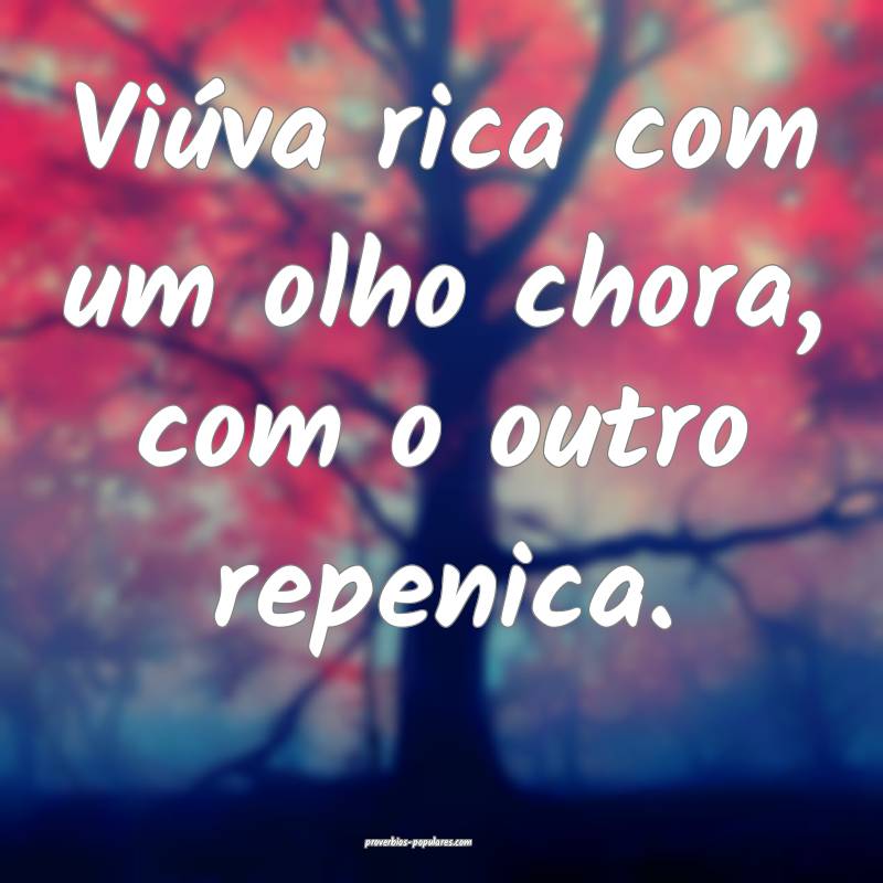 Viúva rica com um olho chora, com o outro repenica. 
...