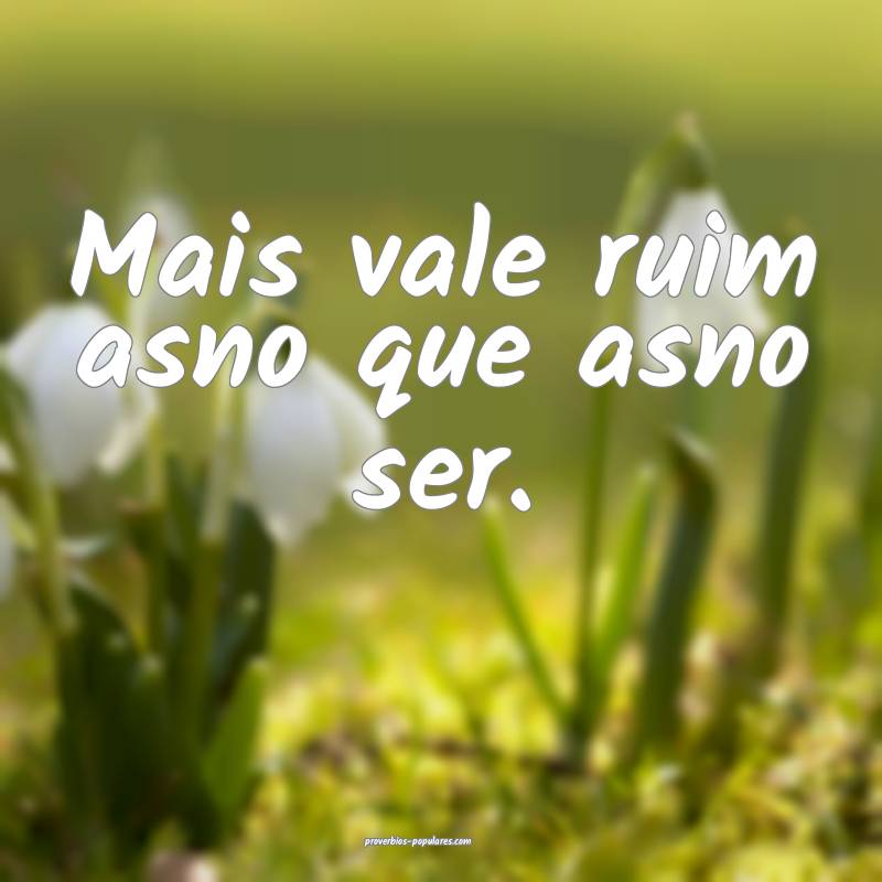Mais vale ruim asno que asno ser.
...