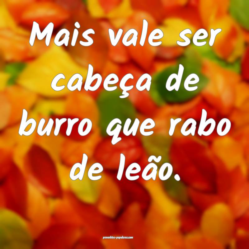 Mais vale ser cabeça de burro que rabo de leão.
...