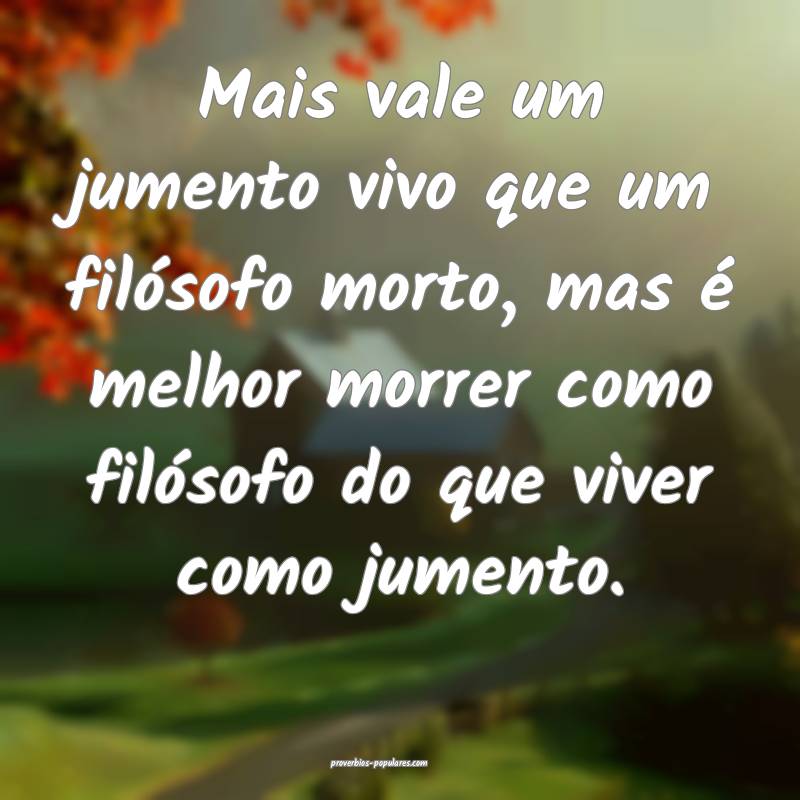 Mais vale um jumento vivo que um filósofo morto, mas é melhor morrer...