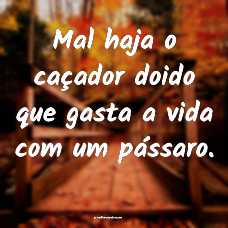 Mal haja o caçador doido que gasta a vida com um  ...