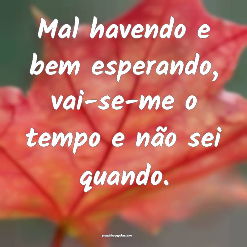 Mal havendo e bem esperando, vai-se-me o tempo e não sei quando.
...