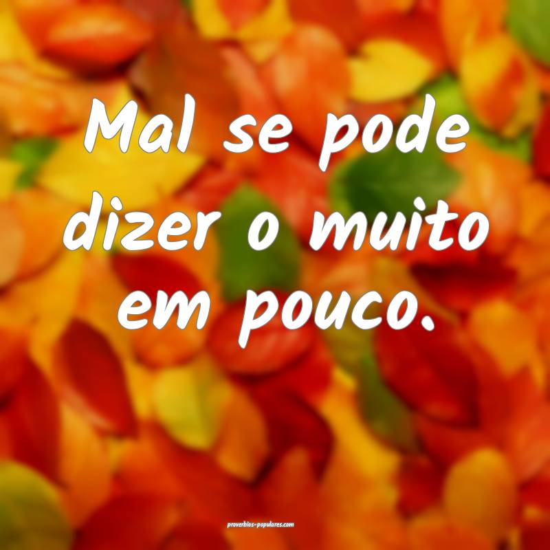 Mal se pode dizer o muito em pouco.
...