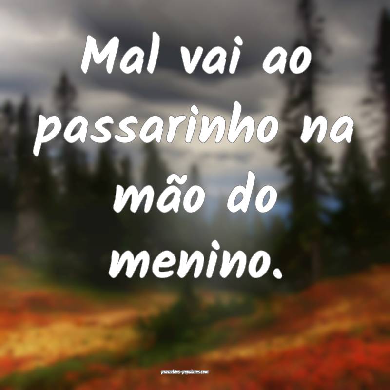 Mal vai ao passarinho na mão do menino.
...