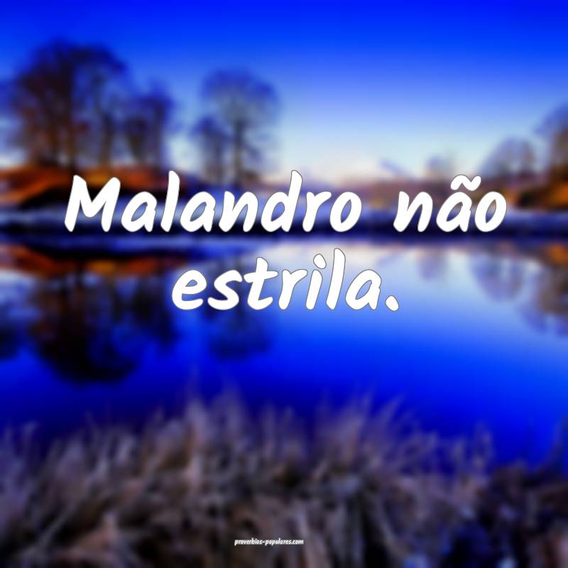 Malandro não estrila.
 ...