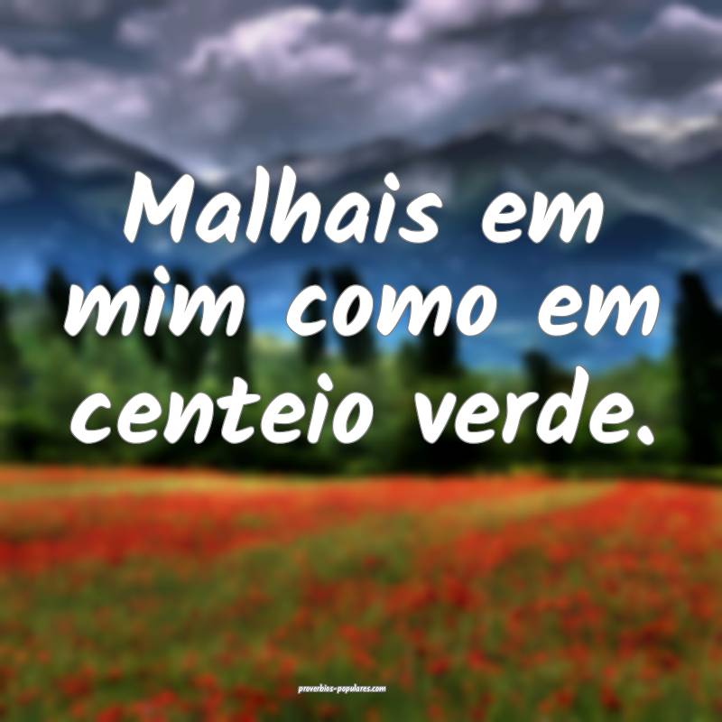 Malhais em mim como em centeio verde.
 ...