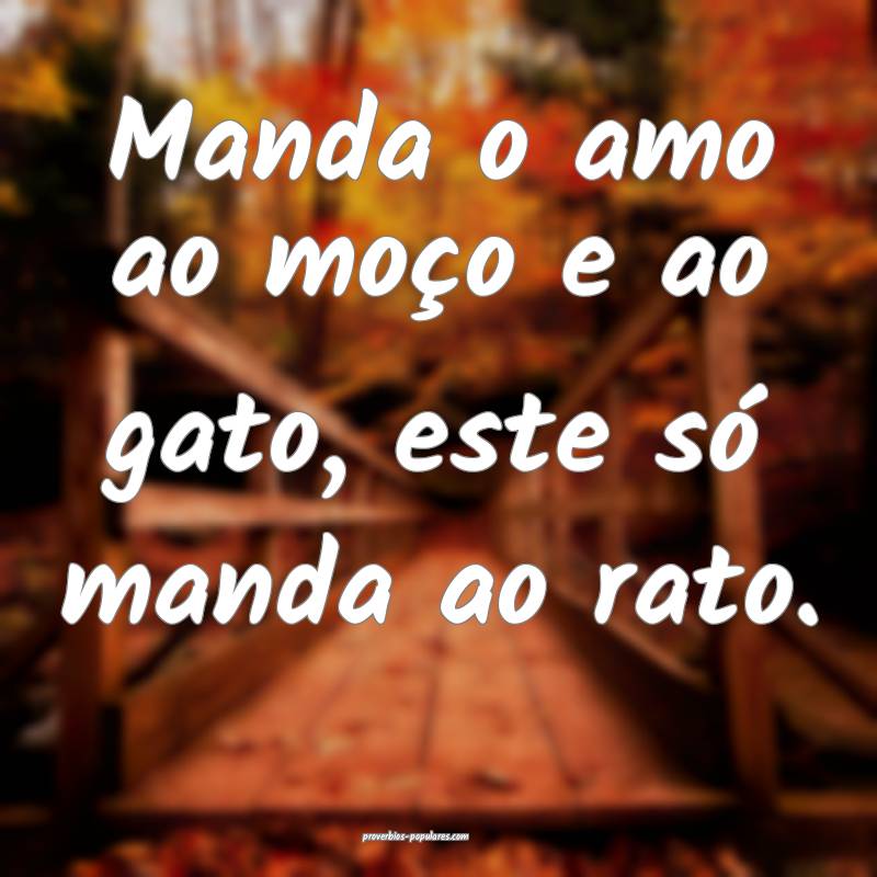 Manda o amo ao moço e ao gato, este só manda ao rato.
...