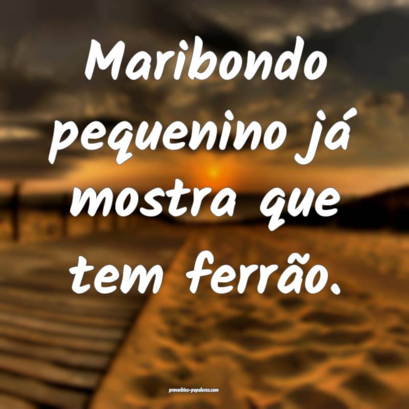 Maribondo pequenino já mostra que tem ferrão.
...