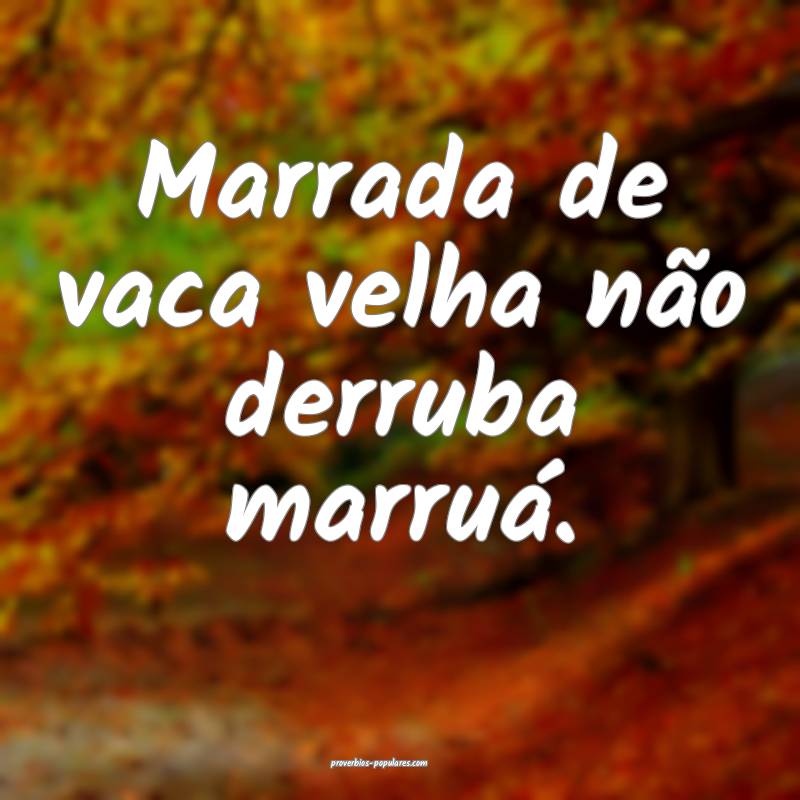 Marrada de vaca velha não derruba marruá.
...