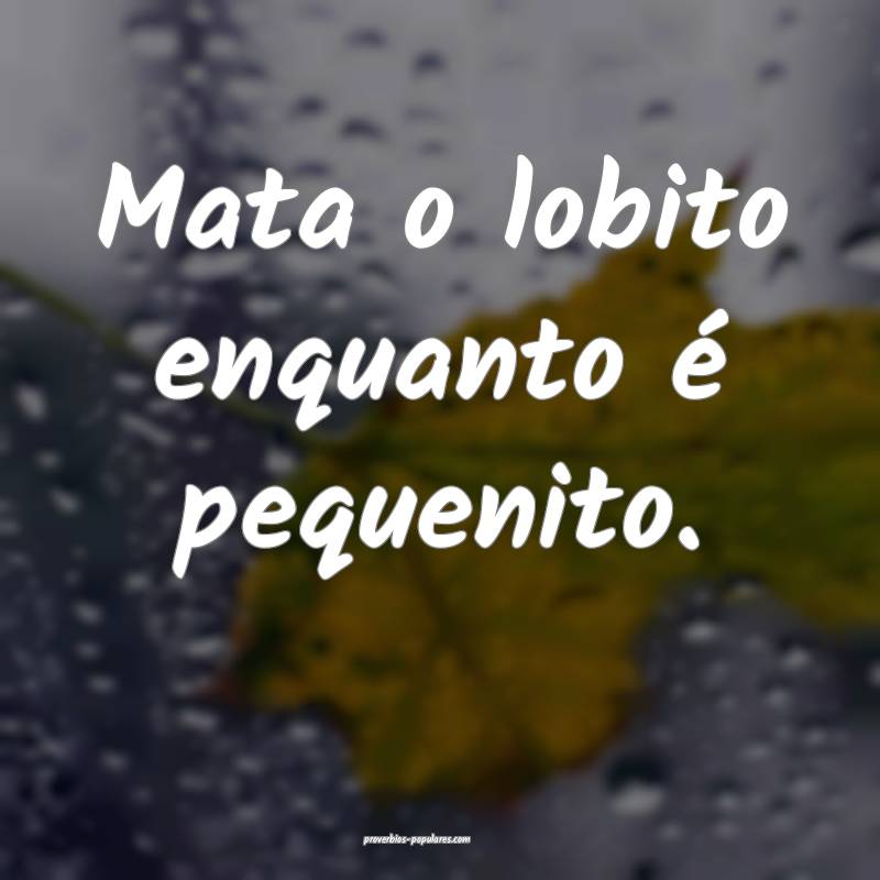 Mata o lobito enquanto é pequenito.
 ...