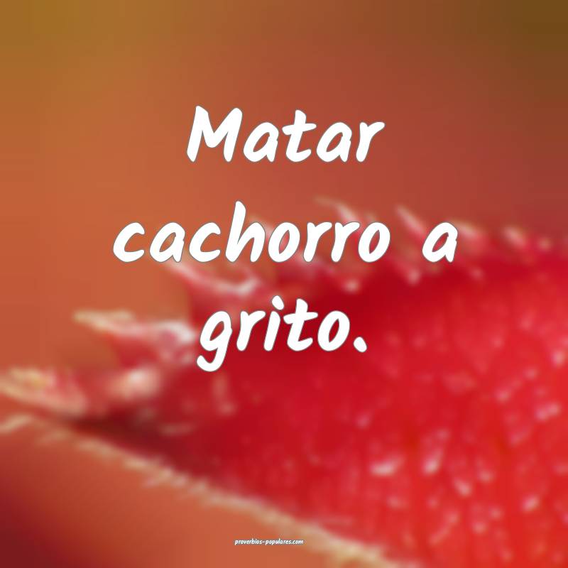 Matar cachorro a grito.
...