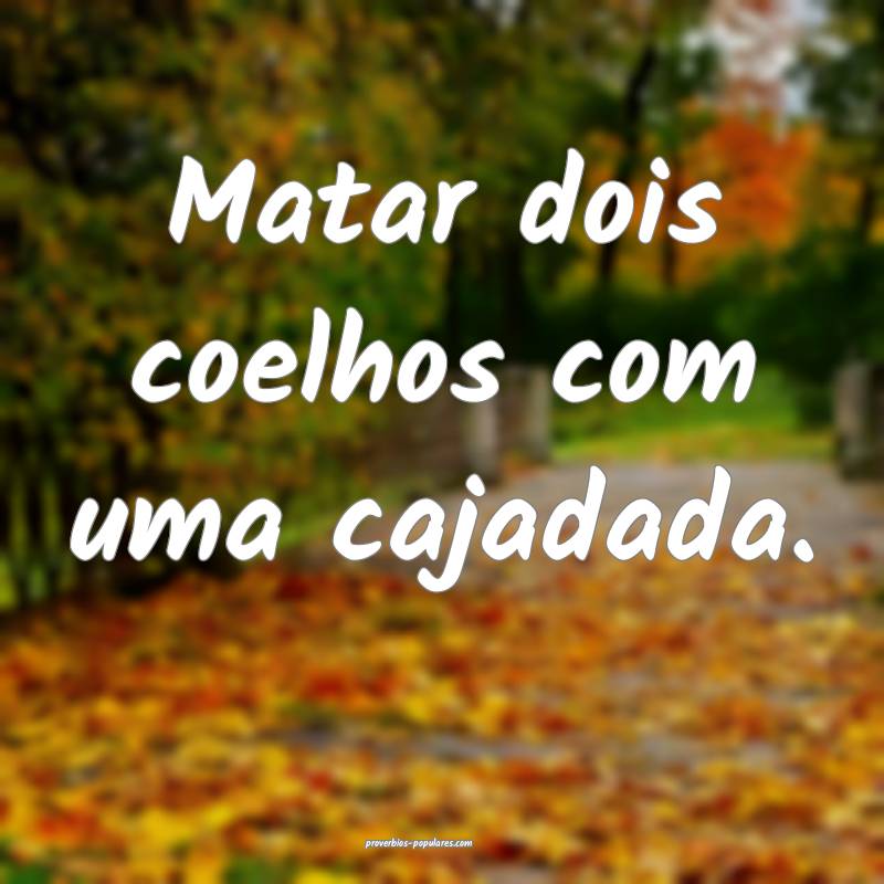 Matar dois coelhos com uma cajadada.
...