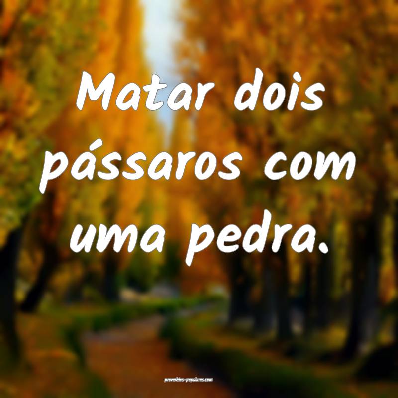 Matar dois pássaros com uma pedra.
...