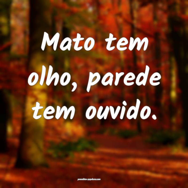 Mato tem olho, parede tem ouvido.
...