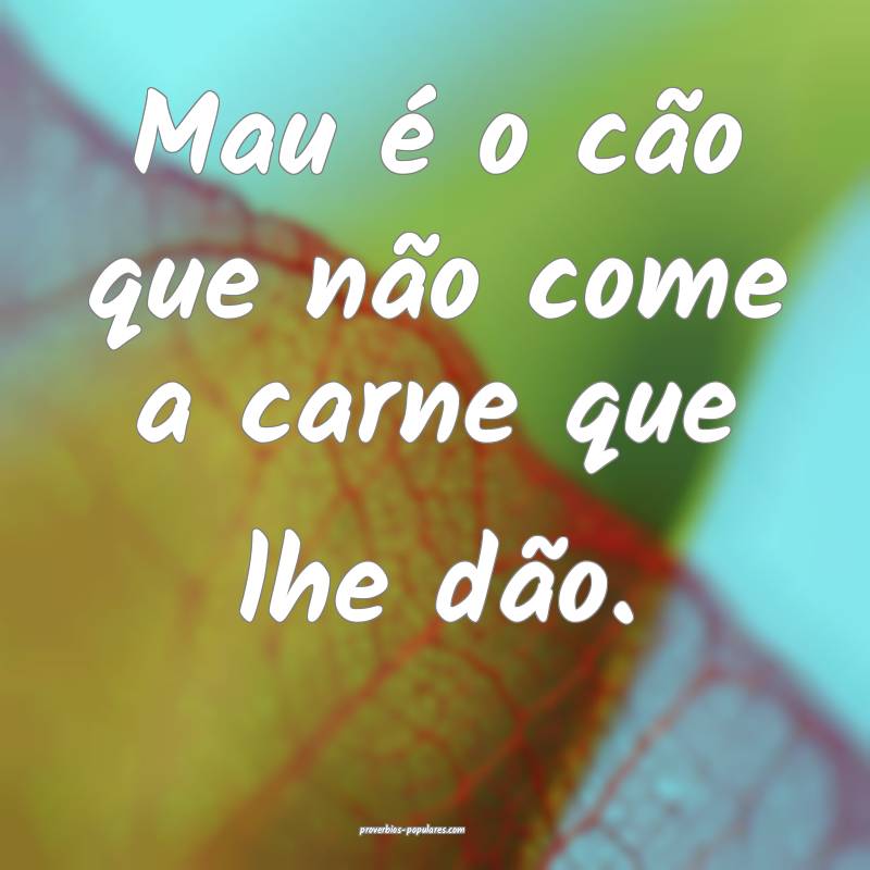 Mau é o cão que não come a carne que lhe dão.
 ...
