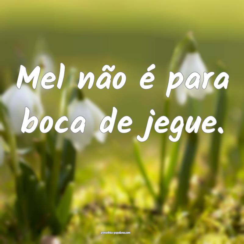 Mel não é para boca de jegue.
...