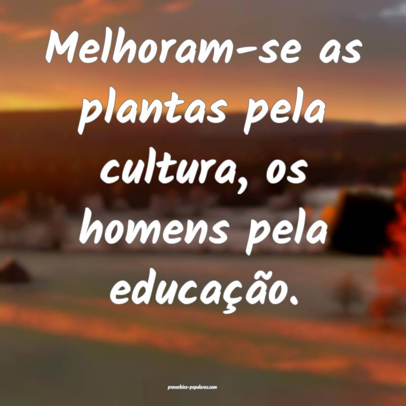 Melhoram-se as plantas pela cultura, os homens pel ...