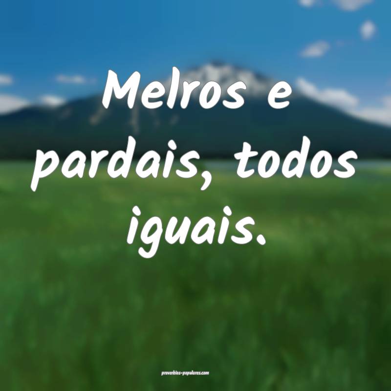 Melros e pardais, todos iguais.
...
