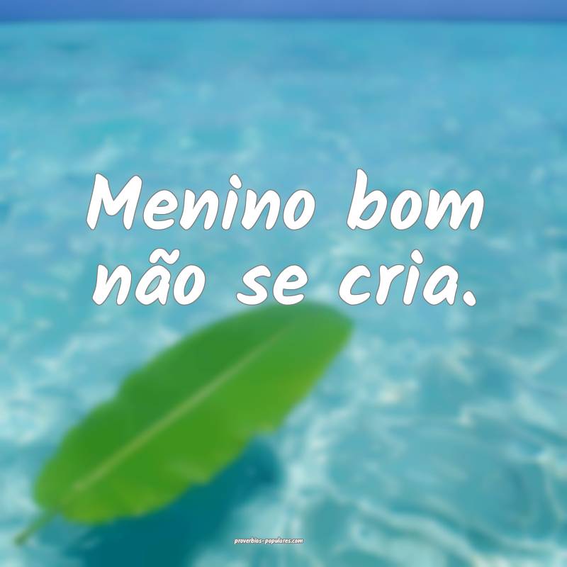 Menino bom não se cria.
...