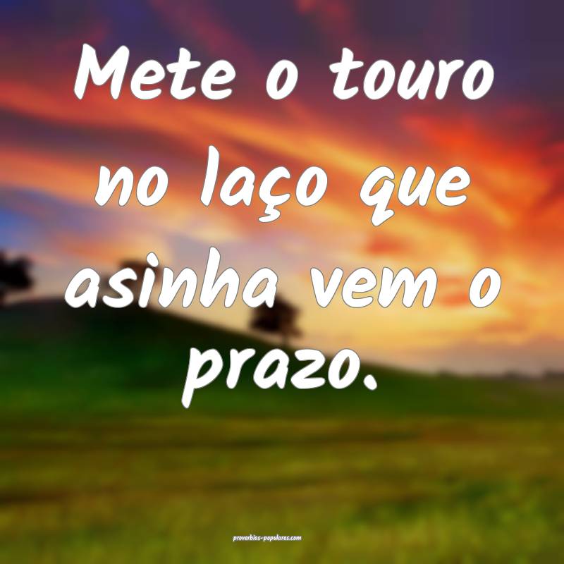 Mete o touro no laço que asinha vem o prazo.
 ...