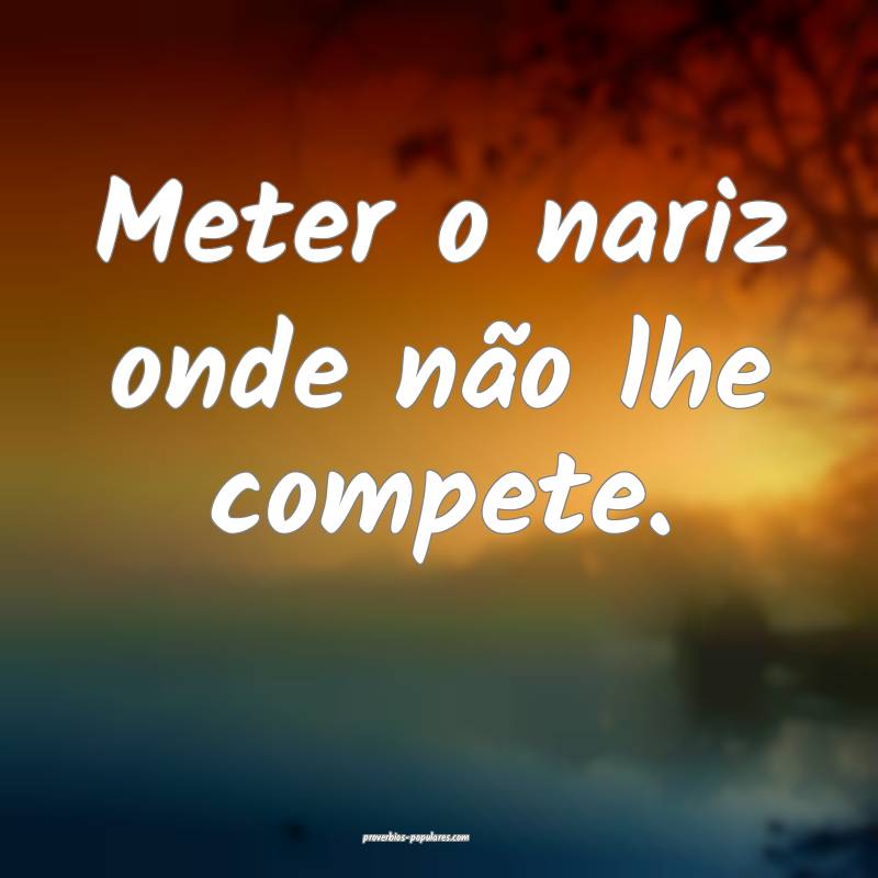 Meter o nariz onde não lhe compete.
...