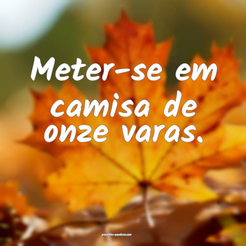 Meter-se em camisa de onze varas.
...