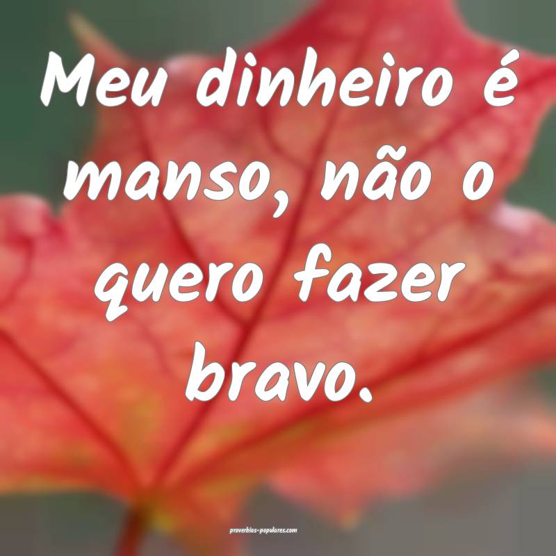 Meu dinheiro é manso, não o quero fazer bravo.
...